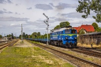 Kołomna z kształtowym