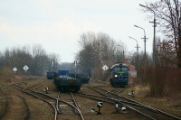 Gagar nie-złomny ...