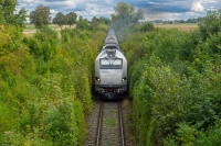 Batman w bujnych zaroślach