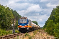 Trzystawna kształtowa tarcza  ...