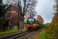 311D1-11 w Krzyżowej