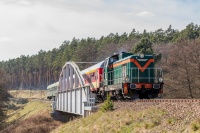Wiewiórka