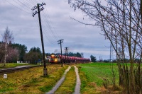 Skład roku na JSL!!!