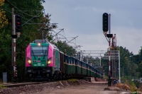 Aguś wyciąga się ze Starego ...