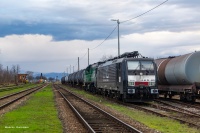 Elektryk na Podsudeckiej?