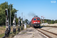 Kształtowa Rogoźnica