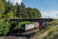 Agromex pod wiaduktem