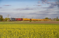 383 425