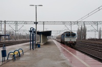 Kociewie na Kociewiu