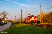 Pasiak ze zbożówkami