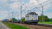 Sputnik ECCO Rail w Brzozowicy