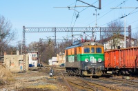 Osiołek z Pol-miedzi