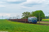 świeżynka na lk152