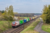 111Ed-023
