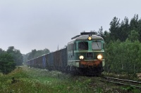 Z deszczu pod rynnę