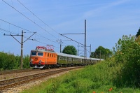 Czesio z nieśpiesznym