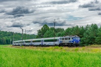 Rybak pod kształtem