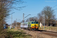 Sadownik w Sierakowicach