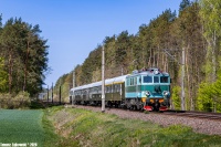 Niespieszny