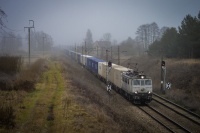 Popołudnie w oparach mgły -  ...