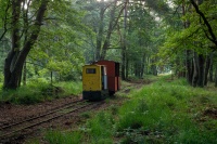 Szczęście przy jego braku