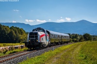 Wodorowa stonka pod Śnieżką