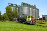 Jedyna w swoim rodzaju