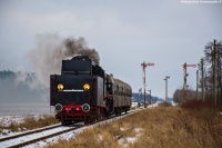 Petucha do Zbąszynka