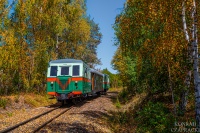 Pierwsze, jesienne kadry