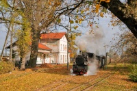 Px48-1919 w Kańczudze