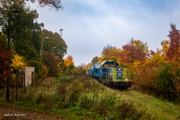 Jesień w Zdziechowej