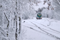 Takiej zimy się nie boimy