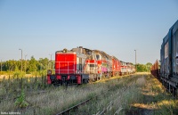 Rządek DLA na Brochowie