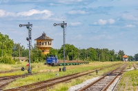 Wygrzewająca się Łajka